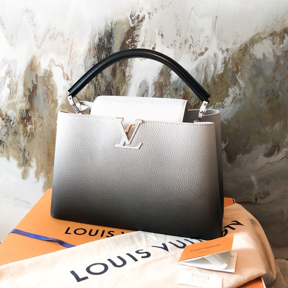 Rare Louis Vuitton Ombré Capucines MM Leather Bag - Picture 2 of 9